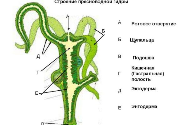 Mega площадка даркнет