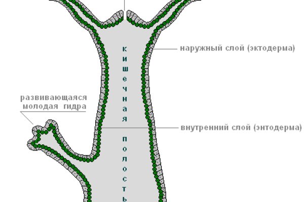 Новая ссылка на мегу